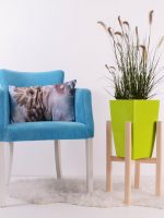 Blog 3 Dinge die du wissen solltest